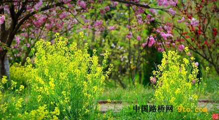 图1  春色