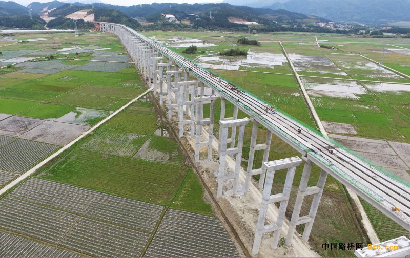 图为北新路桥福建顺邵高速公路项目河坊特大桥架梁施工现场