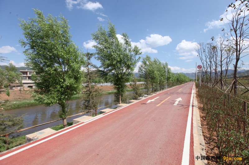 图4、绿道路面实景（摄影：邓豪）