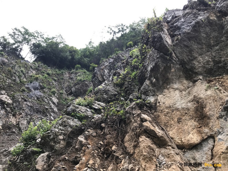 图3、隧道口周边地质、地貌