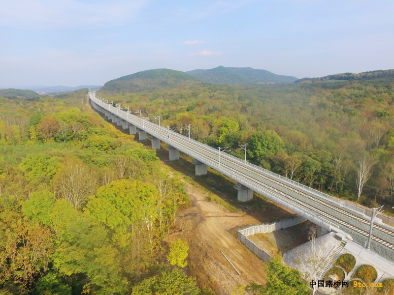 图3、太平1号特大桥