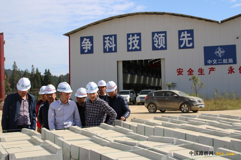 分公司党委书记黄海欧一行莅临都安T2项目指导工作3