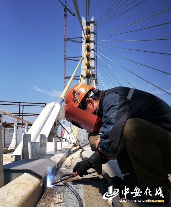 池州长江公路大桥已初显雄姿【组图】-中国网地产