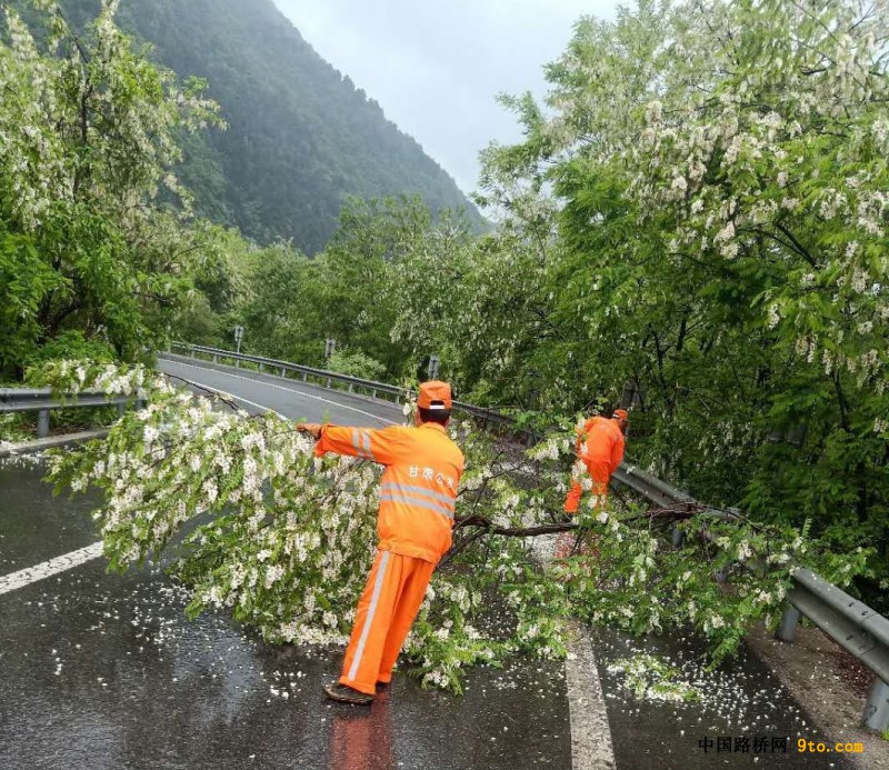 G30线连霍高速公路宝天段清除倒伏行道树