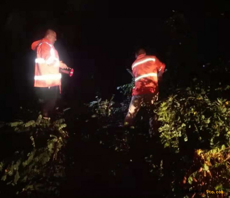 G310线连共公路连夜清理折断树枝